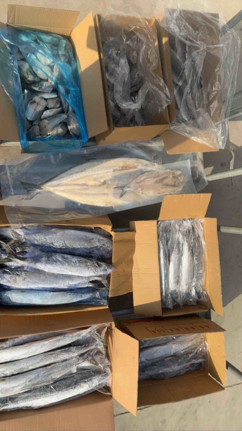 鲅鱼马跤各种鲅鱼各种规格，各种鲅鱼加工制品等等