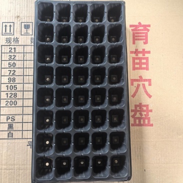 40穴育苗穴盘、瓜果蔬菜育苗盘、嫁接苗盘