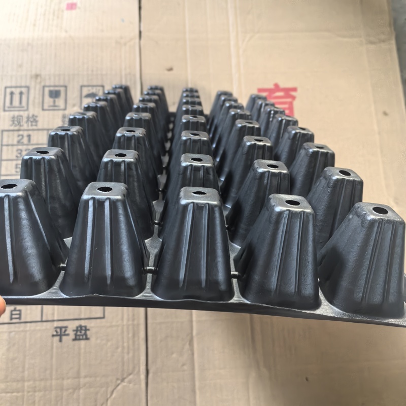 40穴育苗穴盘、瓜果蔬菜育苗盘、嫁接苗盘