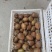 园货冷库货精品翠香猕猴桃产地一手货源，价格依大桃比例
