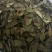 现采先做，天然无添加，烹饪必备，增香提味，家庭厨房的理想