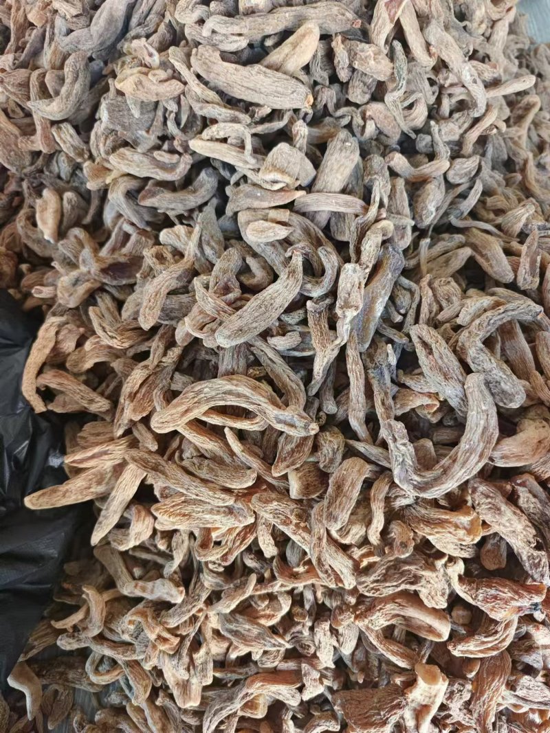 （推荐）天麻粉品质保证欢迎各地老板来电