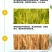 脉黄金复合微生物肥料（叶面肥）