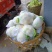 全部可套网套散花菜松花菜青梗散花菜。海拔900米露天种植