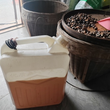 广西山茶籽油纯压榨油，无任何添加，**绿色食品