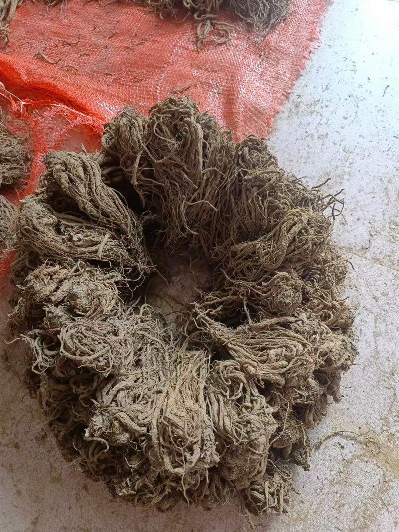 云南包检当归大量有货厂家直销欢迎电联