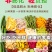 高品质果蔬脆批发厂家批发年货办公室零食散装整箱批发
