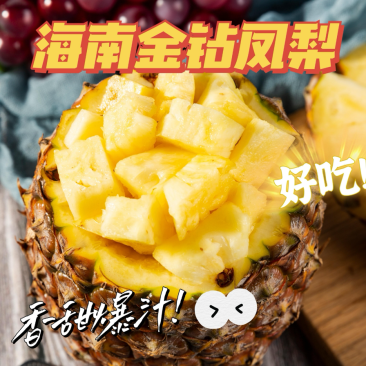 【一件代发】海南金钻凤梨