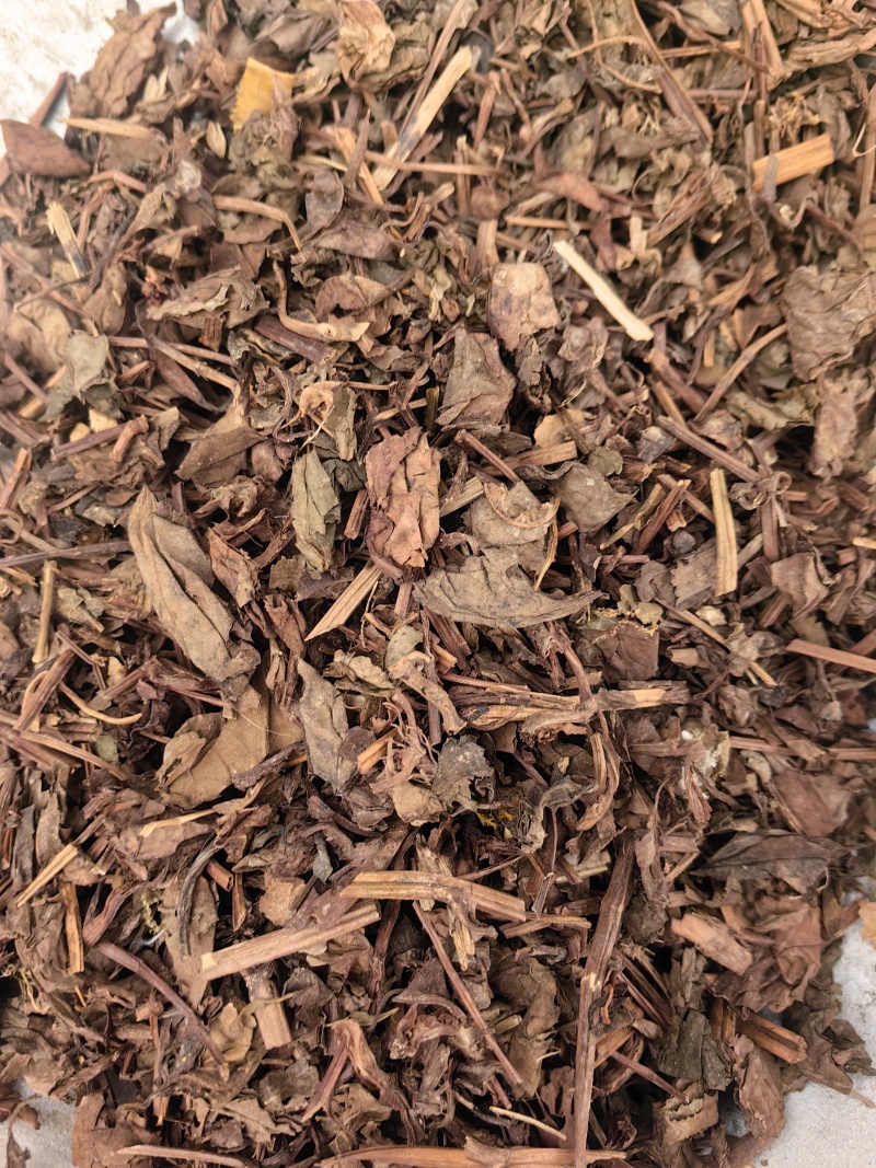 鱼腥草折耳根草批发各种中药材量大从优一手货源