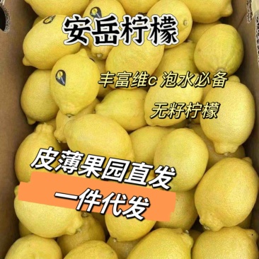 【一件代发】安岳柠檬