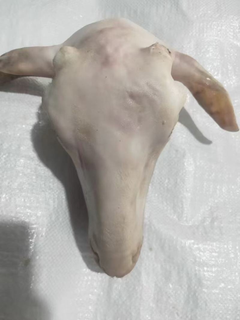 羊头
