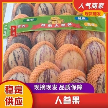 甘肃民勤人参果非石林圆果产地整车直发电商货直供