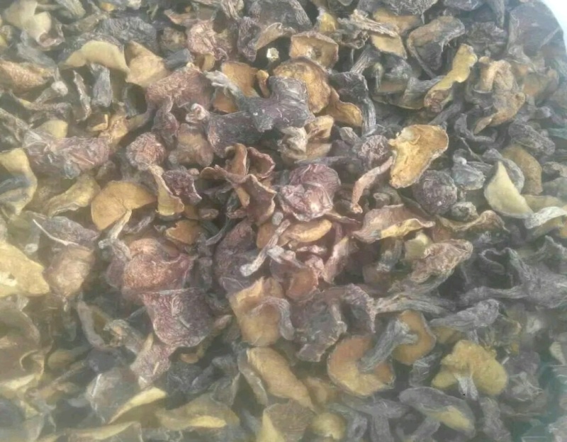 辽宁朝阳松蘑出售！量大！肉厚！***********
