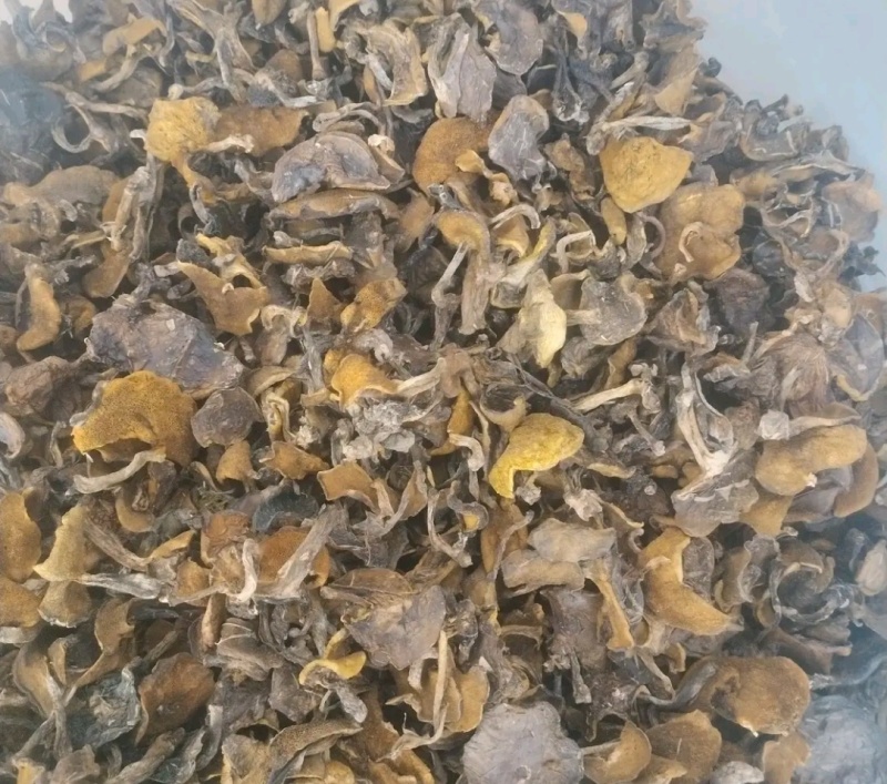 辽宁朝阳松蘑出售！量大！肉厚！***********