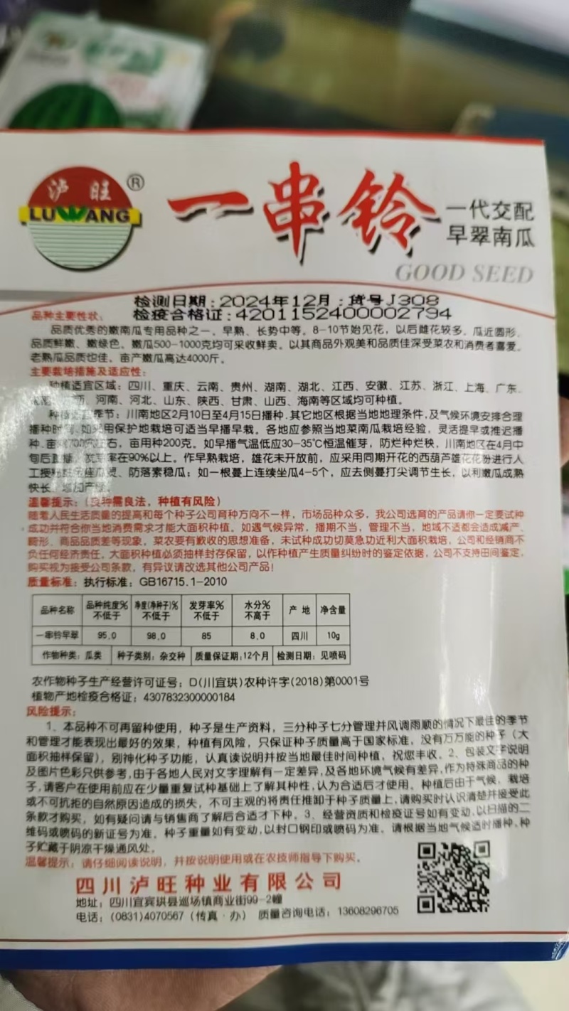 早熟小南瓜种子嫩南瓜种子一串铃南瓜种子节节有瓜