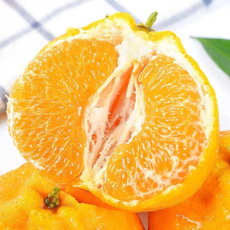 正宗耙耙柑四川春见耙耙柑新鲜应季水果现摘薄皮丑橘桔子整箱批发