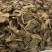 福建本地人工种植小尖叶金线莲干品新货批发零售