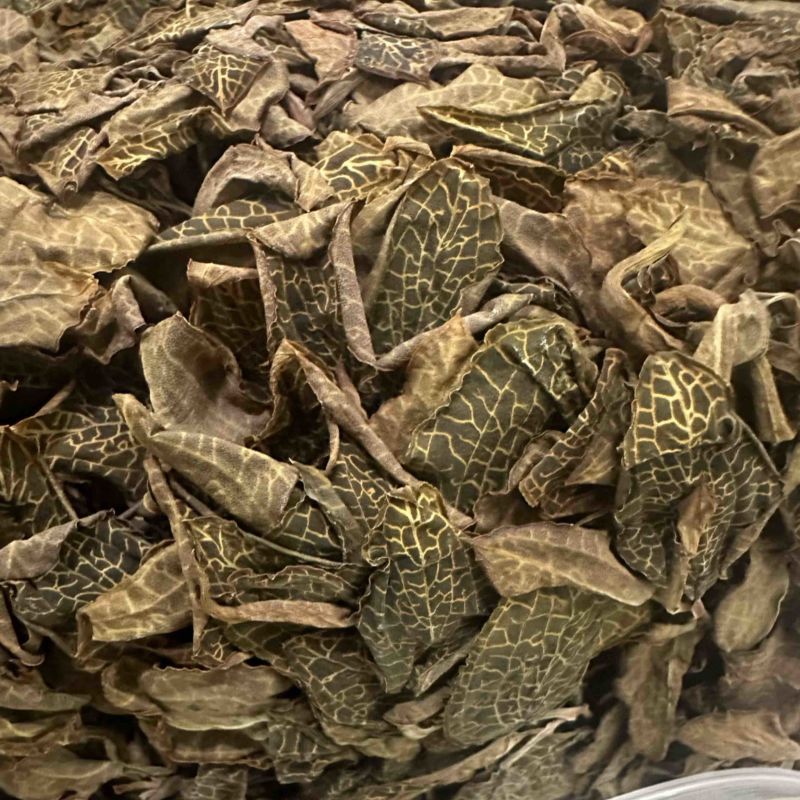 福建本地人工种植小尖叶金线莲干品新货批发零售
