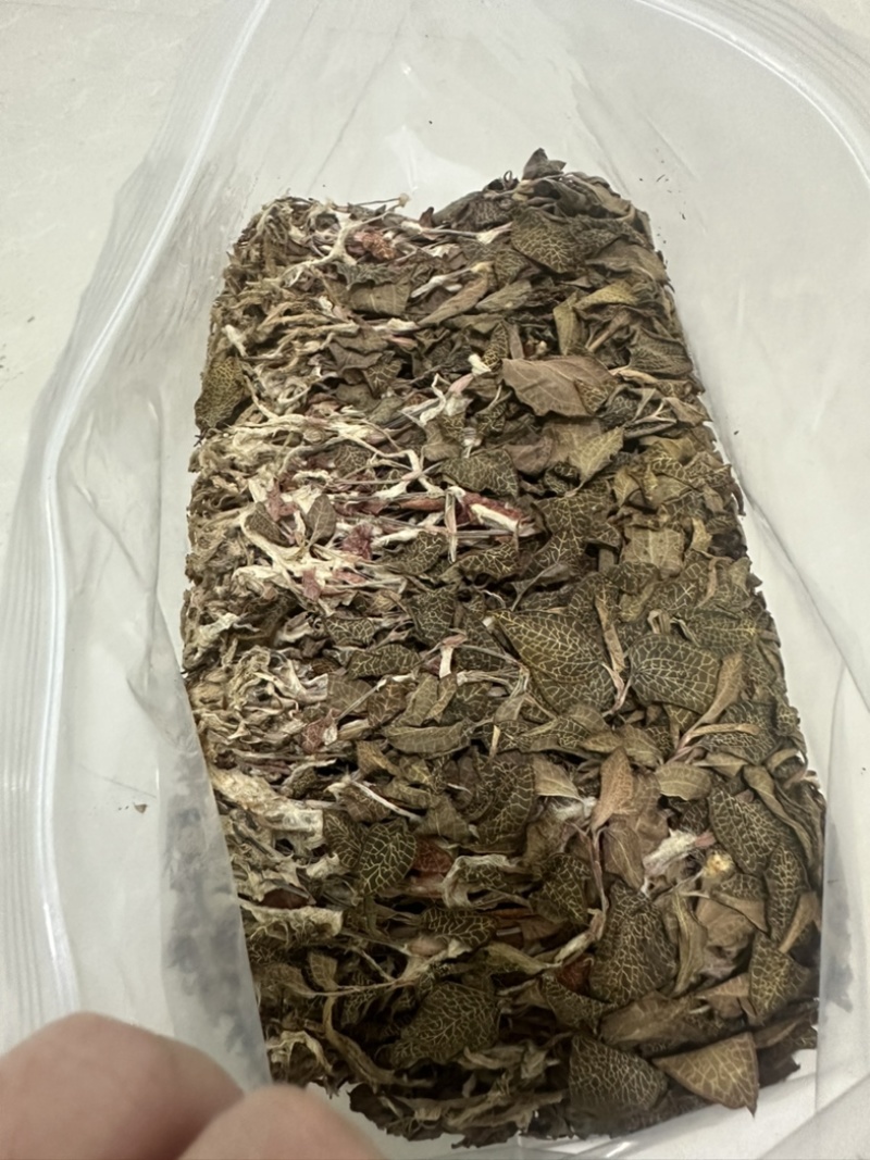 福建本地人工种植小尖叶金线莲干品新货批发零售