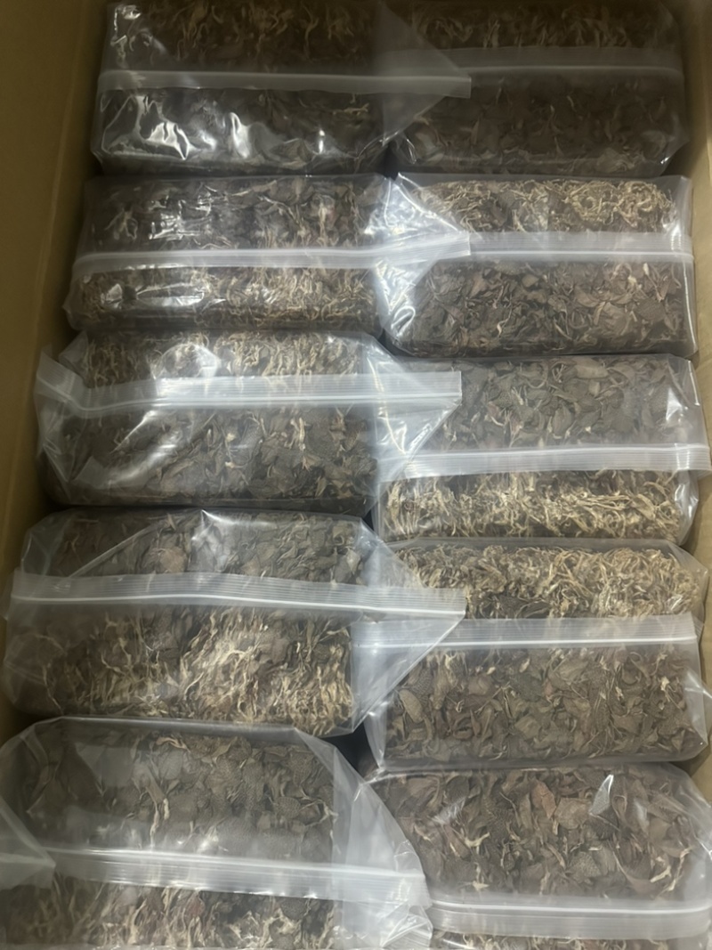 福建本地人工种植小尖叶金线莲干品新货批发零售