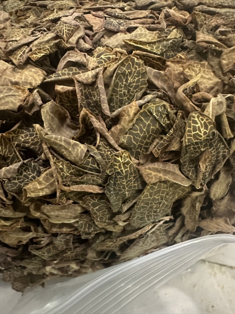 福建本地人工种植小尖叶金线莲干品新货批发零售