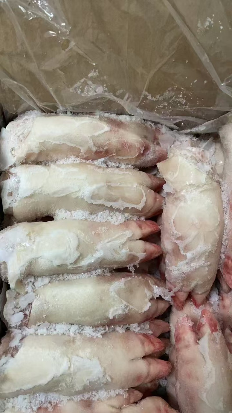 纯干猪蹄