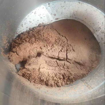 大量毛桃核