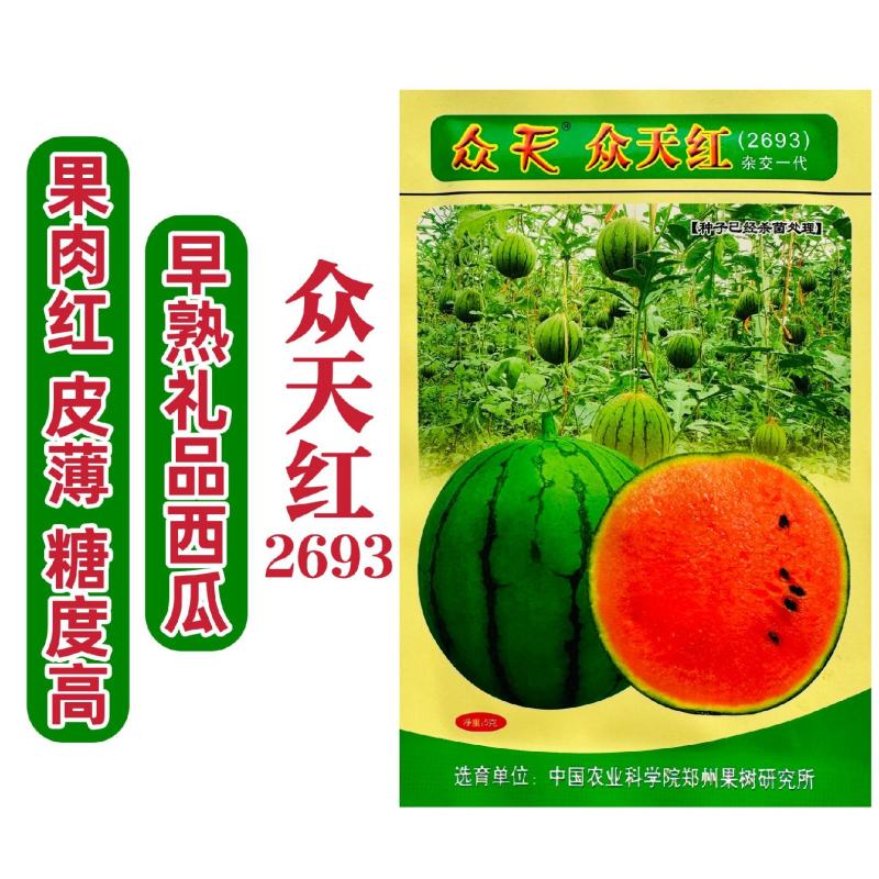果树研究所西瓜种子众天红2693礼品西瓜种子特甜小果西瓜