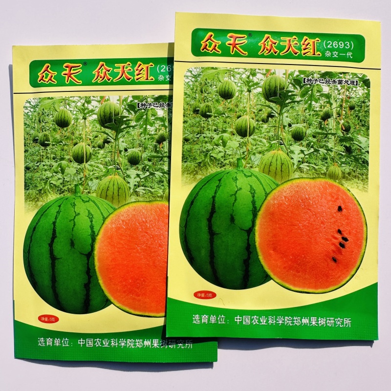 果树研究所西瓜种子众天红2693礼品西瓜种子特甜小果西瓜