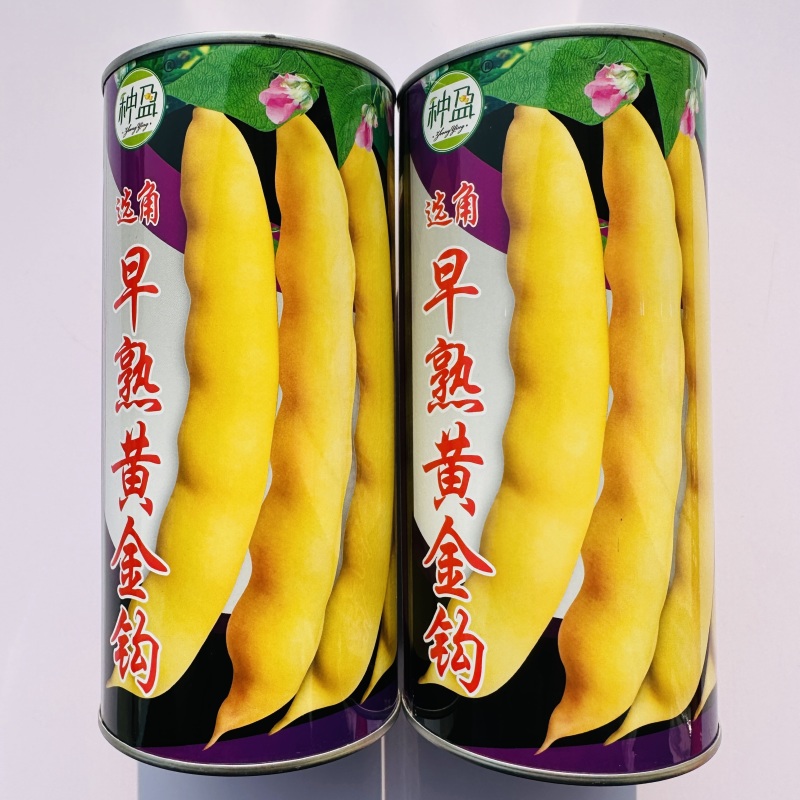香蕉黄金钩种子架油豆东北早熟油豆种籽搭架面糊好吃豆角鼓豆