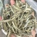 白毫银针大白牙欢迎咨询