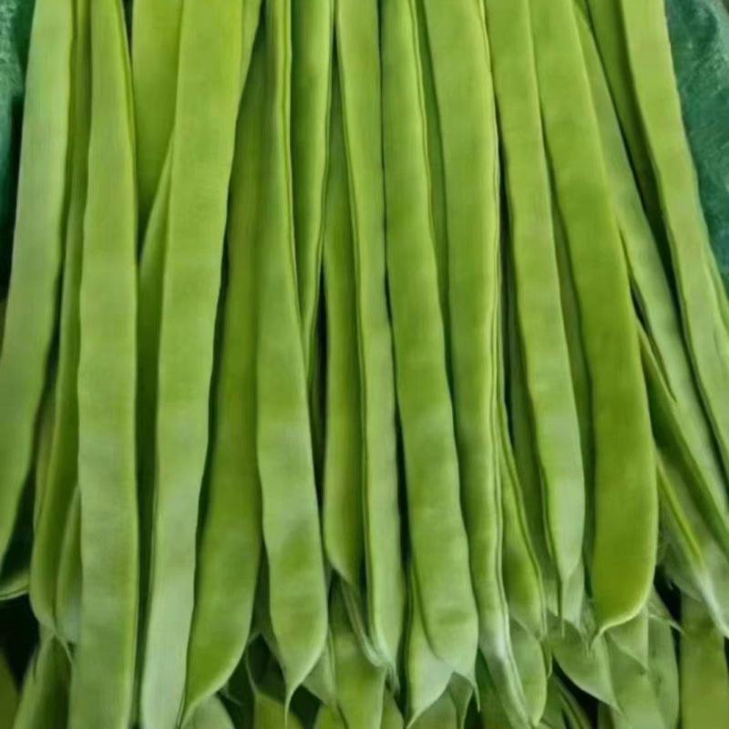 扁豆