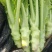棒菜