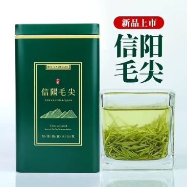 2024新茶正宗信阳毛尖茶叶明前嫩芽手工绿茶浓香盒装毛尖