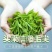 2024新茶正宗信阳毛尖茶叶明前嫩芽手工绿茶浓香盒装毛尖