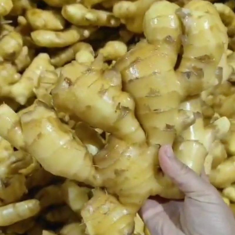 山东精品优质大黄姜大量有货，欢迎全国各地老板实地考察订购