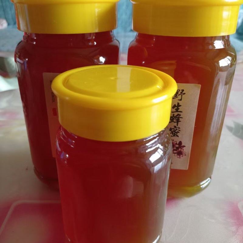 自家养的土蜂蜜，今年没了