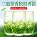 特级高山绿茶2024新茶浓香型明前茶叶日照充足高