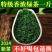 特级高山绿茶2024新茶浓香型明前茶叶日照充足高