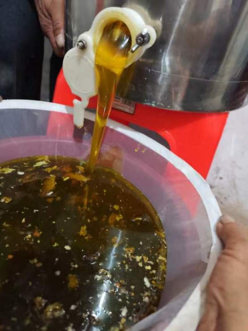 自家养的土蜂蜜，今年没了