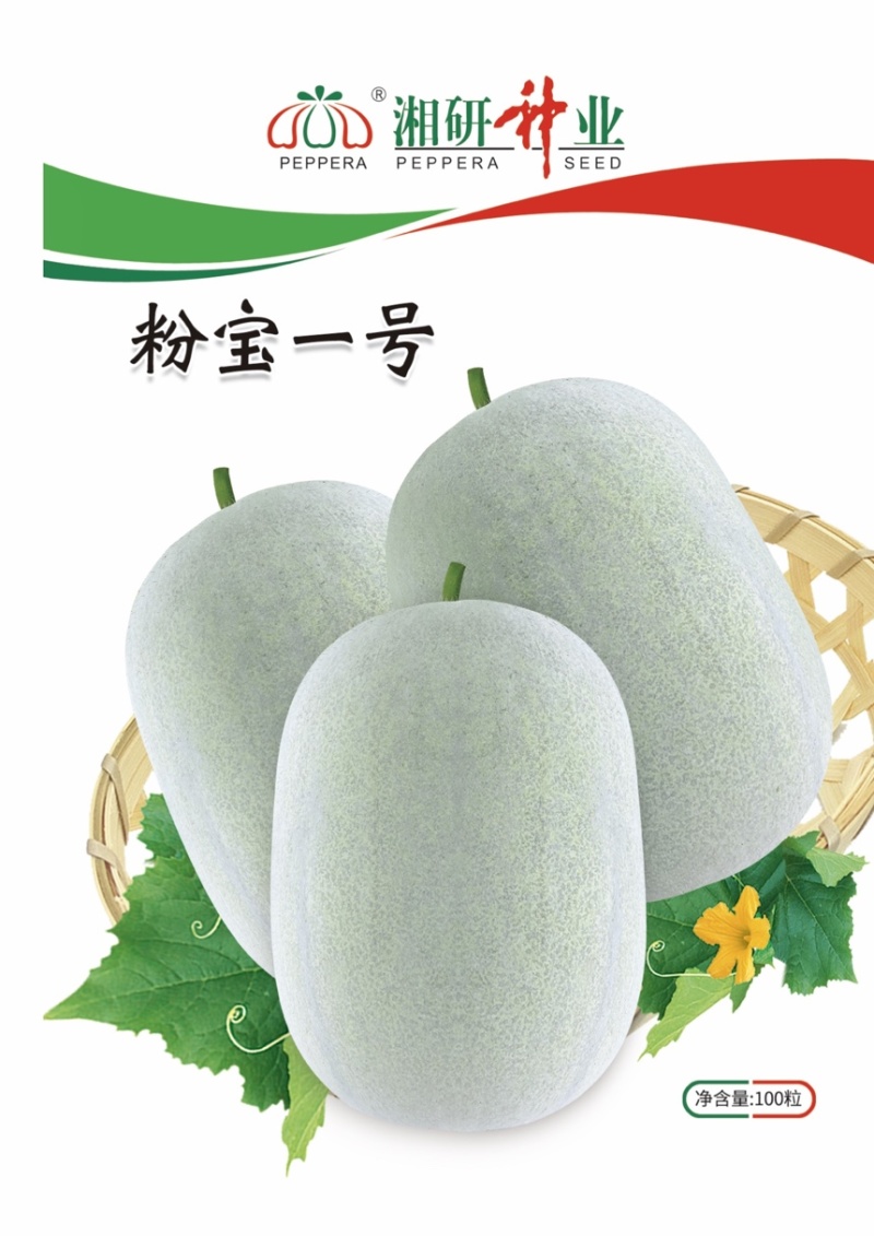 粉宝一号小粉皮冬瓜蜡粉厚抗性强价格可议欢迎致电