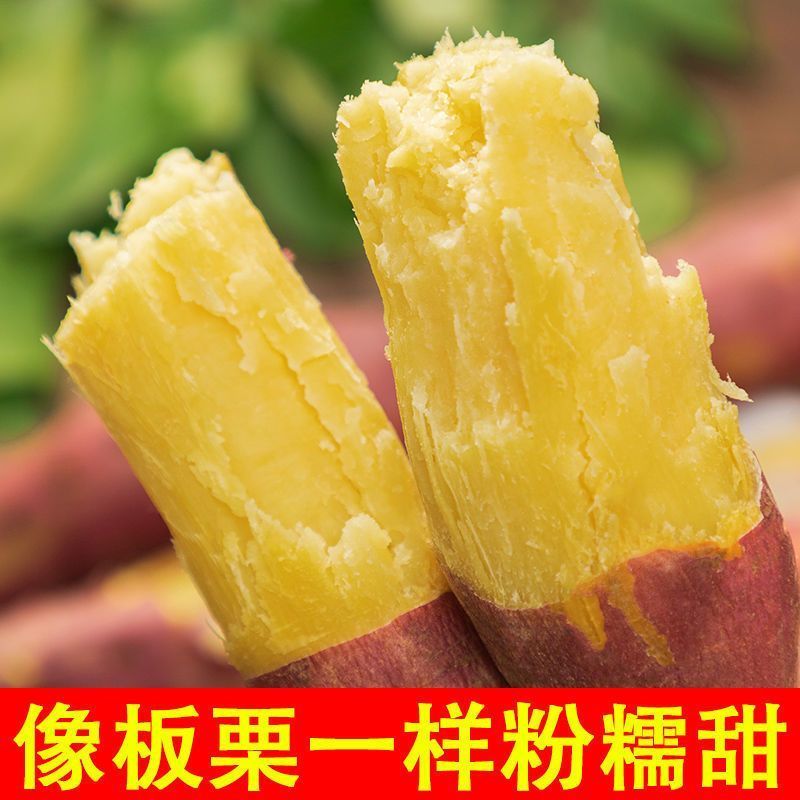陕西板栗红薯一件代发，拼多多，抖音，淘宝，可达人开佣金。