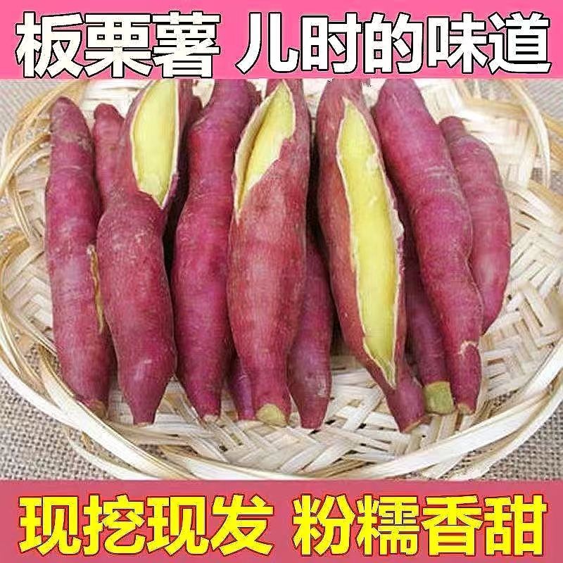 陕西板栗红薯一件代发，拼多多，抖音，淘宝，可达人开佣金。