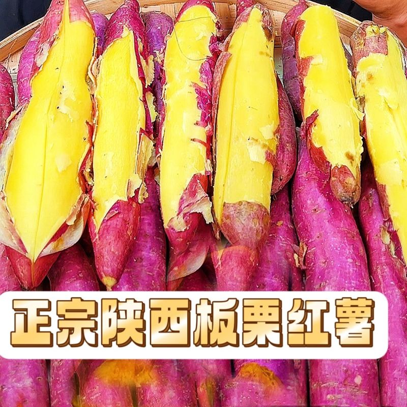 陕西板栗红薯一件代发，拼多多，抖音，淘宝，可达人开佣金。