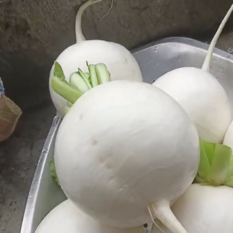 圆根萝