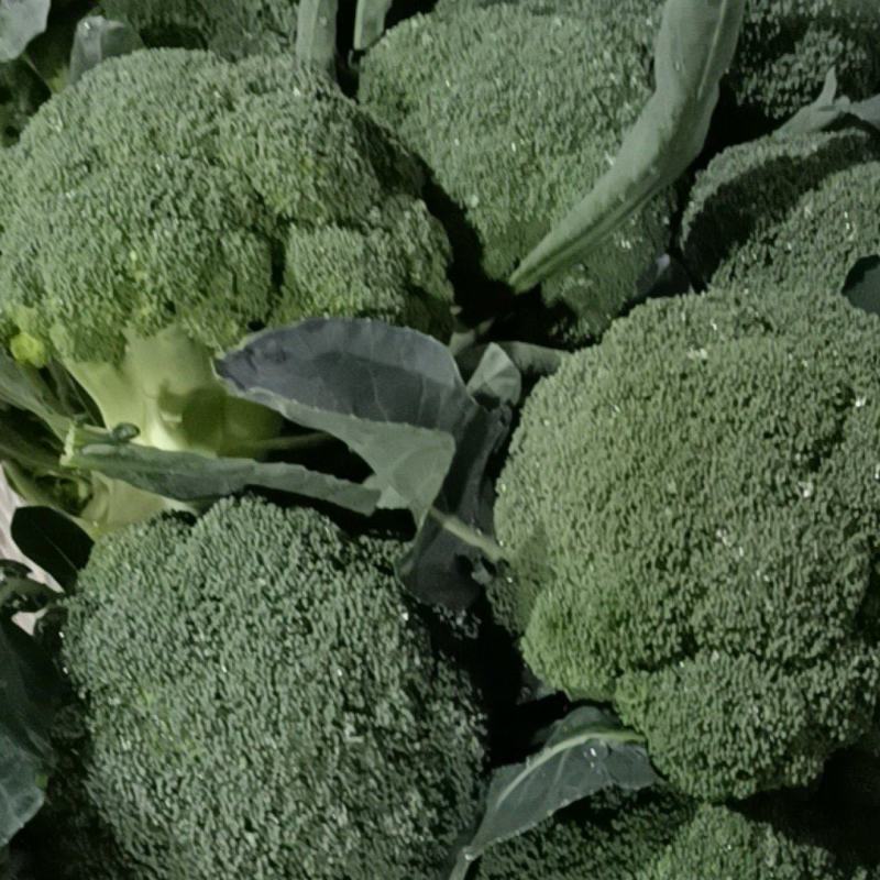 精品西兰花大量上市，全国发货，可视频看货，量大从优。
