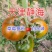 草莓番茄水果西红柿口感番茄