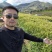 二黄姜，山地姜，源头产地，对接全国生意，热卖中欢迎采购