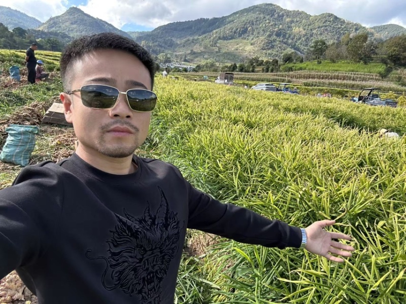 二黄姜，山地姜，源头产地，对接全国生意，热卖中欢迎采购