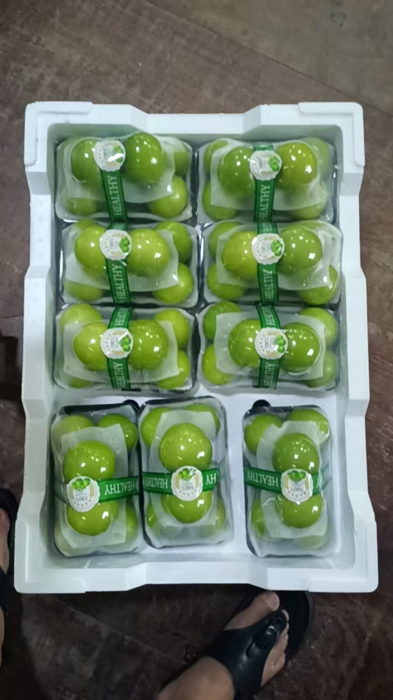 漳州市牛奶枣基地大量上市电商，超市批发欢迎采购，一件代发